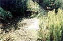AVANT TRAVAUX - TURLI  HAUT